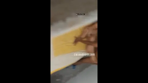 Siwan daroga viral sex video with lady constable bihar police scandal mms