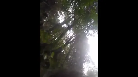 Cute muslim girl outdoor fucking viral sex video mms
