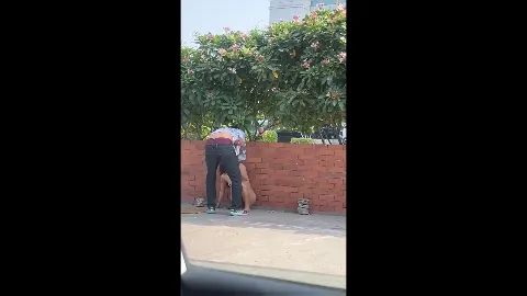 Jaipur wtp drunk girl strips naked in public viral full video