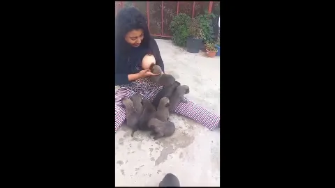 Married woman breastfeeding puppies nude video