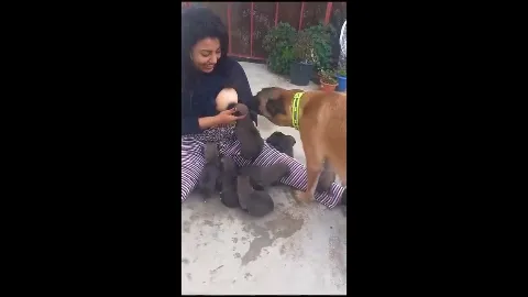 Married woman breastfeeding puppies nude video