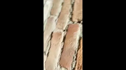 Couple get caught fucking in abandoned home outdoor sex