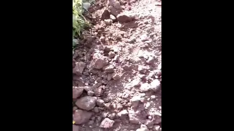 Village couple caught outdoor sex risky fucking mms