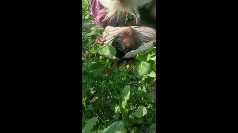 Village old man fucking desi farm aunty hardcore khet mein chudai