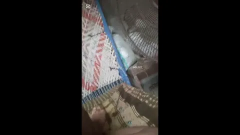 Horny couple rooftop sex handjob to hardcore fucking viral mms