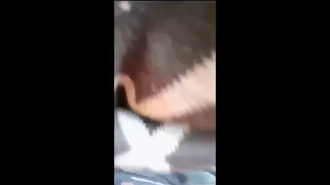 Busty desi bhabhi outdoor fucking with lover